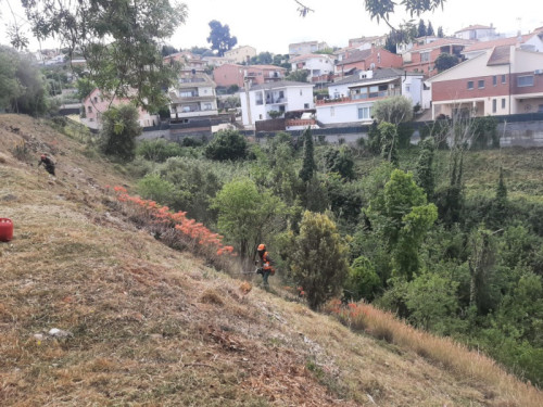 Realitzem la campanya de manteniment de les franges perimetrals de seguretat contra incendis forestals i zones verdes del nostre municipi