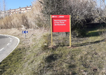 Obertes les inscripcions als microcursos d’horta ecològica i de conreu ecològic de fruita seca i olivera, del Banc de Terres del Parc Rural del Montserrat