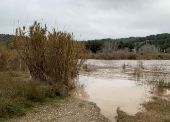 Riu Llobregat. Dimarts 22 de gener de 2020