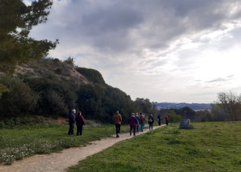 Commemorem el Dia Mundial de l’Activitat Física (DMAF), amb una caminada i una activitat de balls de saló