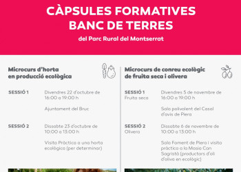 Obertes les inscripcions als microcursos d’horta ecològica i de conreu ecològic de fruita seca i olivera, del Banc de Terres del Parc Rural del Montserrat