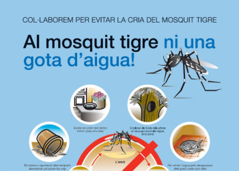 Cartell campanya per evitar la cria del mosquit tigre