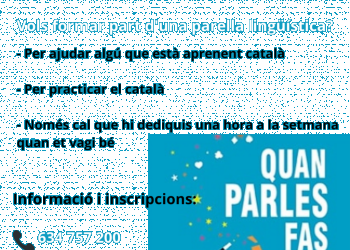 Cartell Voluntariat per la Llengua - xarxes socials