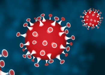 Consells de prevenció i informació sobre el coronavirus SARS-CoV-2
