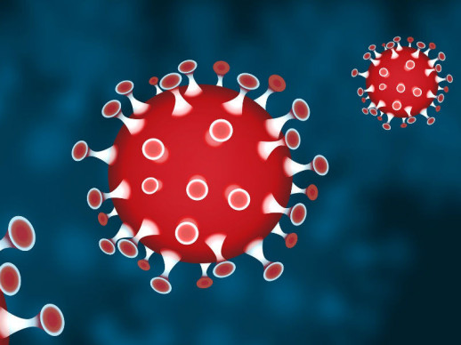 Consells de prevenció i informació sobre el coronavirus SARS-CoV-2