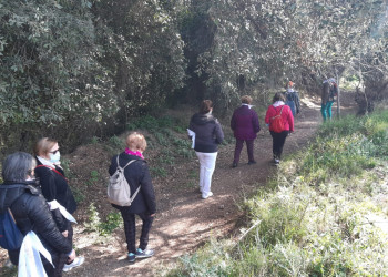 Commemorem el Dia Mundial de l’Activitat Física (DMAF), amb una caminada i una activitat de balls de saló