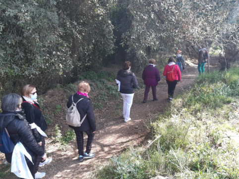 Commemorem el Dia Mundial de l’Activitat Física (DMAF), amb una caminada i una activitat de balls de saló