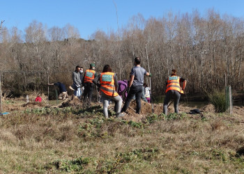 Plantada d'arbres del diumenge 6 de febrer de 2022 organitzada per ANDA