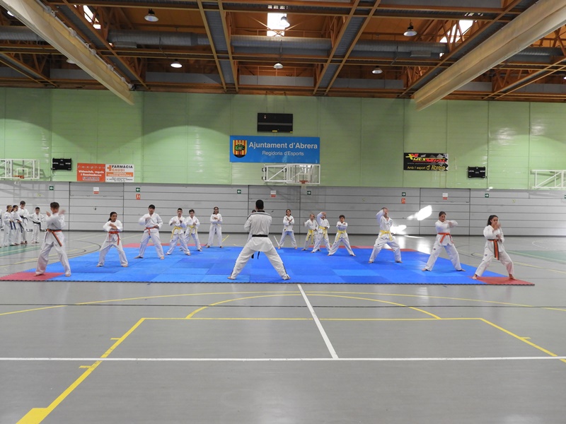 Cloenda de les activitats d’Educació Física, Preesportiva i Taekwondo del Servei d’Esports de l'Ajuntament d'Abrera