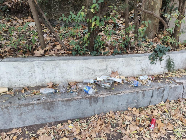 Bona acollida de la nova jornada de neteja de l'entorn natural del nostre municipi, dins la iniciativa 'Let's Clean Up Europe'