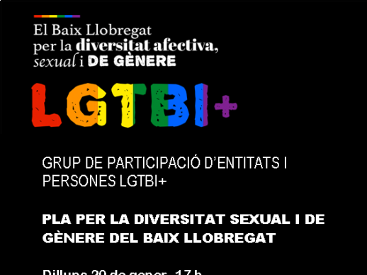 Elaboració del Pla comarcal per la diversitat afectiva, sexual i de gènere