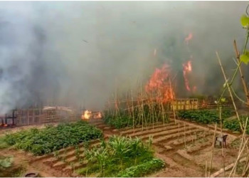 Investiguem la causa de l'incendi que aquesta tarda ha cremat uns 3.000 metres quadrats de matoll i canyes al torrent Gran