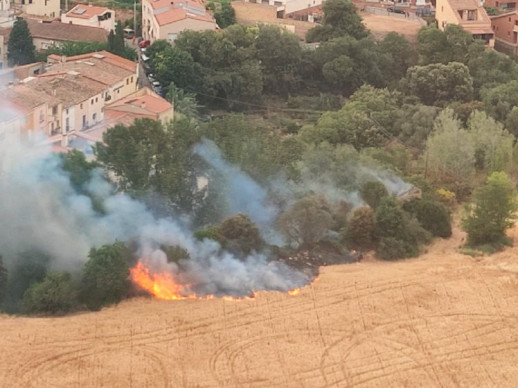 Investiguem la causa de l'incendi que aquesta tarda ha cremat uns 3.000 metres quadrats de matoll i canyes al torrent Gran