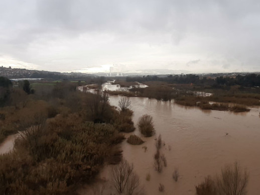 Riu Llobregat. 23 de gener de 2020