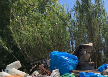 Una trentena de persones recullen 850 quilos de residus en la neteja del marge del riu Llobregat, dins les jornades 'Let's Clean Up Europe'