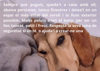 Celebrem la Nit de Sant Joan amb responsabilitat! Consells per gaudir d'una revetlla de Sant Joan segura per a tothom