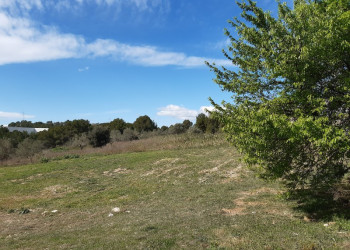 Projecte Zona de pícnic al polígon Sant Ermengol