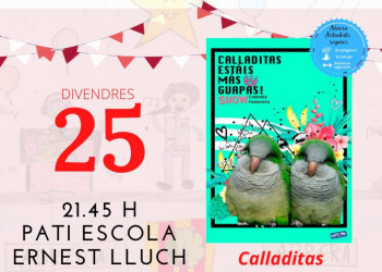 Festa Major 2021: Joves d’Abrera aquest sant Pere, Festa a Abrera!