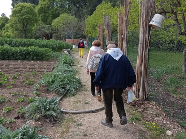Avui dimarts 6 d'abril, commemorem el Dia Mundial de l'Activitat Física amb una caminada saludable