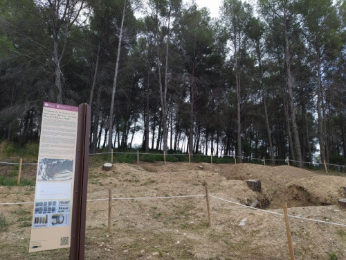 Jaciment de les trinxeres de la guerra civil al bosc de Sant Miquel d'Abrera