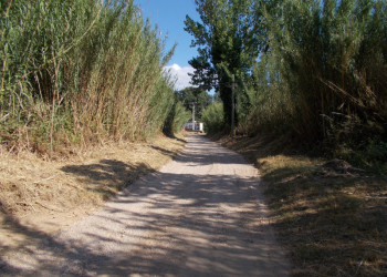 Treballem en l'adequació del camí dels Horts de Can Morral del Riu i de l’estació de bombament de l’ACA a Sant Hilari