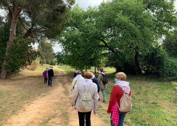 Commemorem el Dia Mundial de l'Activitat Física amb una caminada saludable