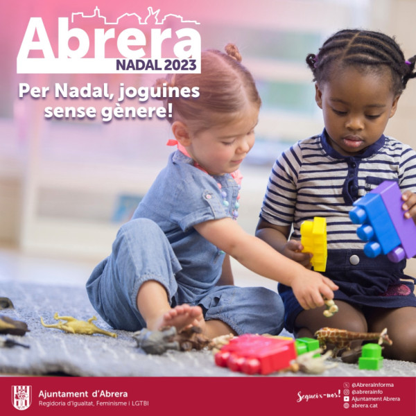 Per Nadal, joguines sense gènere! Un any més engeguem la campanya pel foment de la compra responsable de joguines igualitàries