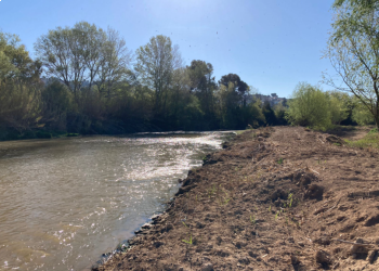 Visita d'obres de les mesures compensatòries pel nou col·lector de salmorres a la conca del riu Llobregat, al seu pas per Abrera