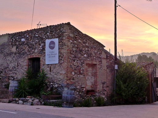 El proper diumenge 4 de setembre, gaudirem de la verema solidària al Celler de Can Morral del Molí!