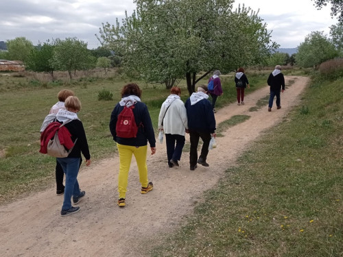 Commemorem el Dia Mundial de l'Activitat Física amb una caminada saludable