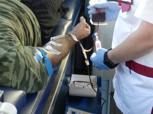 Toca donar, toca rebre vida! Nova campanya de donació de sang a la Casa de Cultura, el dimecres 6 de setembre