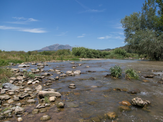 Riu Llobregat al seu pas per Abrera