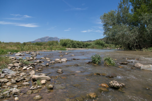 Riu Llobregat al seu pas per Abrera