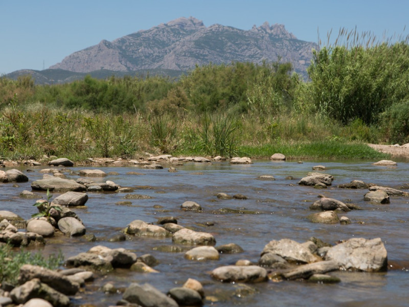 Medi Ambient - riu i riera