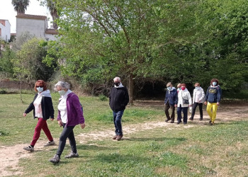 Commemorem el Dia Mundial de l'Activitat Física amb una caminada saludable