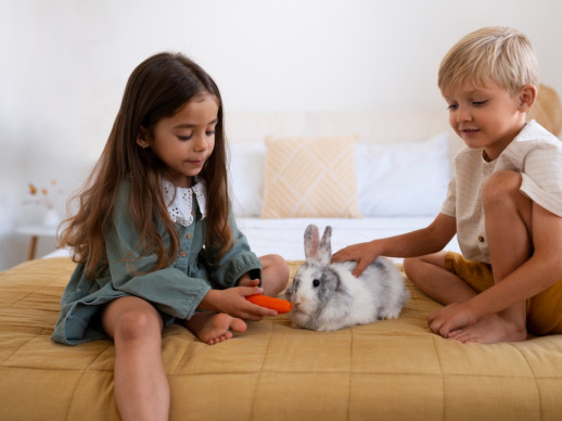 A Abrera continuem promovent la tinença responsable d’animals de companyia