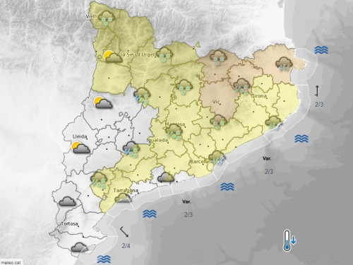 Avís neu 25-03-20