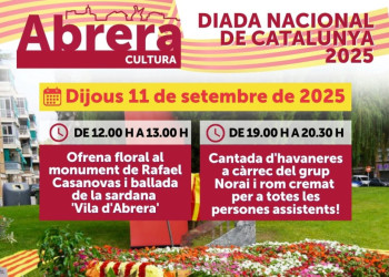Cartell Diada Nacional de Catalunya 2025