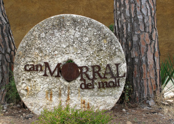 El proper diumenge 4 de setembre, gaudirem de la verema solidària al Celler de Can Morral del Molí!