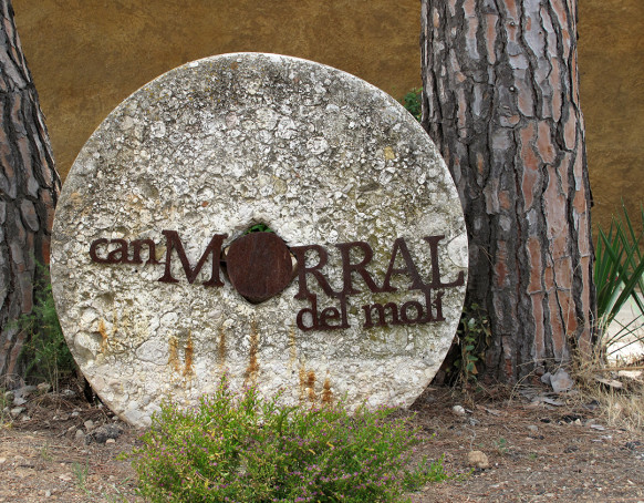 El proper diumenge 4 de setembre, gaudirem de la verema solidària al Celler de Can Morral del Molí!