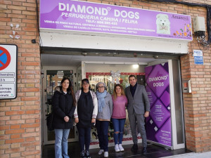 XII Concurs d’Aparadors Nadalencs d'Abrera. Diamond Dogs