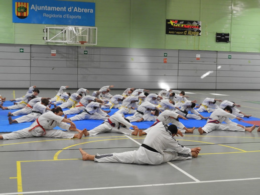 Cloenda de les activitats d’Educació Física, Preesportiva i Taekwondo del Servei d’Esports de l'Ajuntament d'Abrera