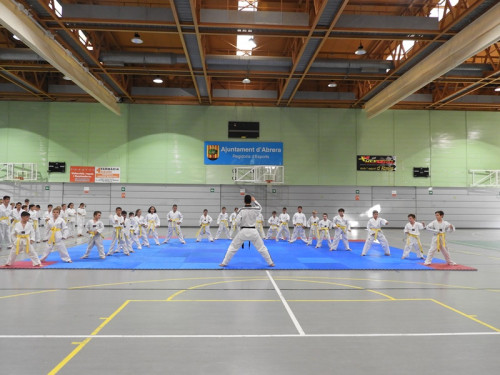 Cloenda de les activitats d’Educació Física, Preesportiva i Taekwondo del Servei d’Esports de l'Ajuntament d'Abrera