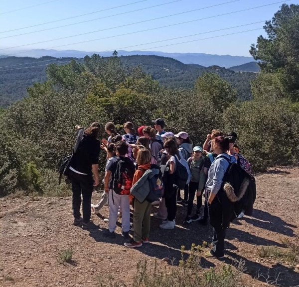 Èxit de la campanya 'Coneguem els nostres parcs’, amb l'alumnat de 5è de primària de les escoles del nostre municipi