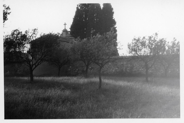 Des de l’Ajuntament d’Abrera iniciem el procediment per a declarar el Cementiri Vell, contruït l’any 1888, com a Bé Cultural d’Interès Local