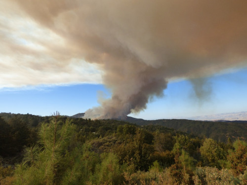 Consells per evitar els incendis forestals