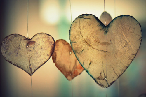 L'amor romàntic? Setmana de l’amor i el bon tracte. Imatge de Ben Kerckx en Pixabay
