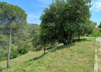 Iniciem un any més la campanya anual de manteniment de les franges perimetrals de seguretat contra incendis forestals