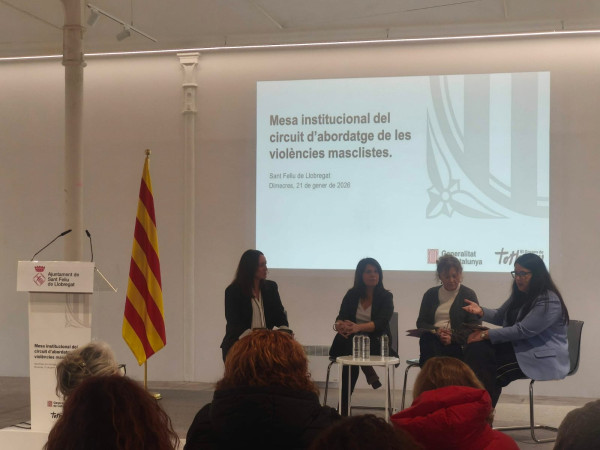 participem a la Mesa Institucional del circuit d’abordatge de les violències masclistes de la vegueria de Barcelona
