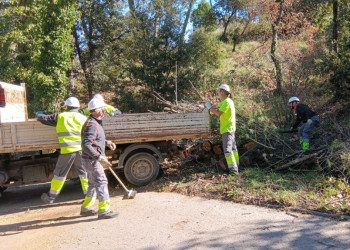 Des de l'Ajuntament d'Abrera estem duent a terme diverses actuacions pel fort vent a Abrera